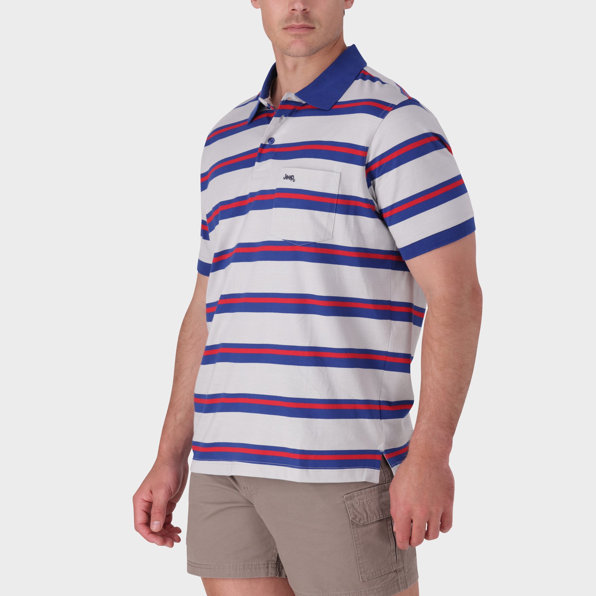 Stripe Polos (2)