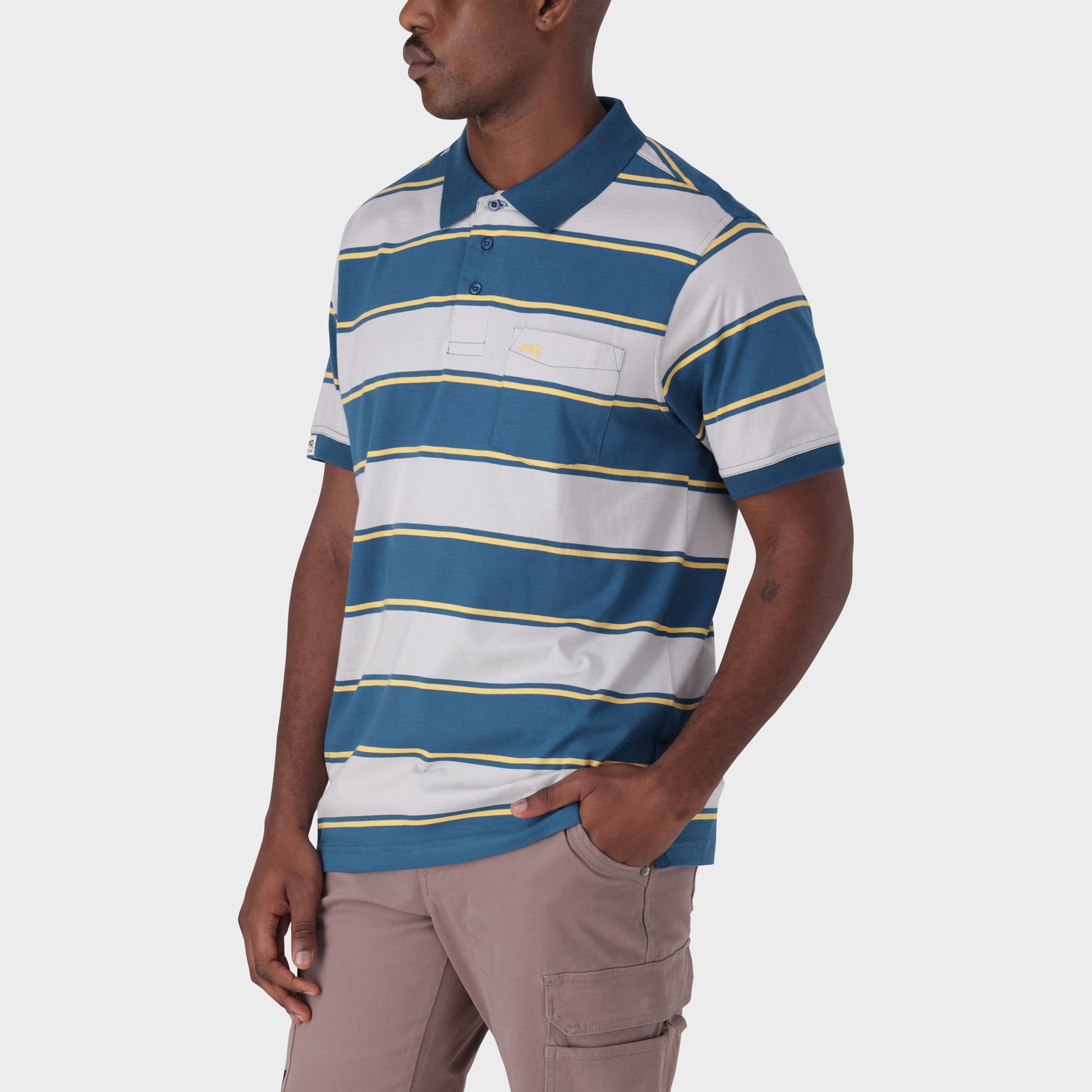 Stripe Polos (2)