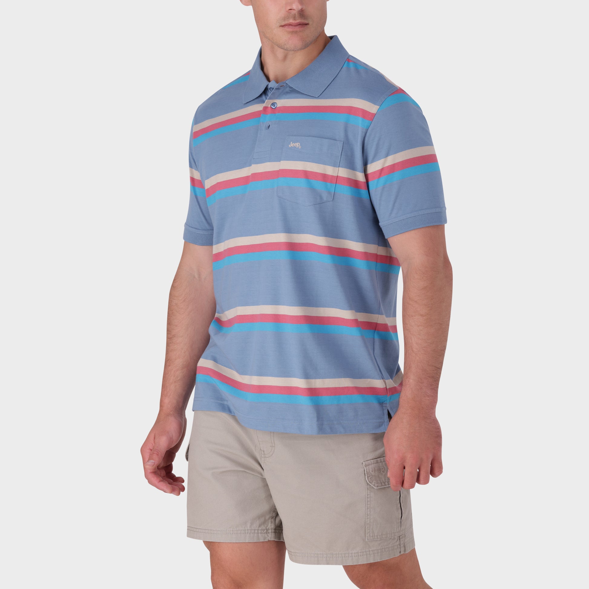 Stripe Polos (2)